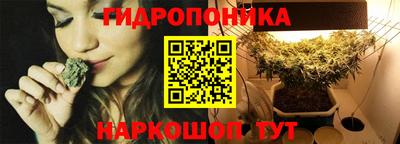 тгк Обь