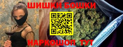 тгк Обь