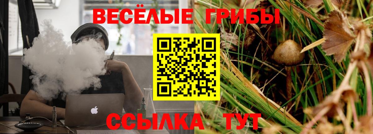 Псилоцибиновые грибы Psilocybe Острогожск